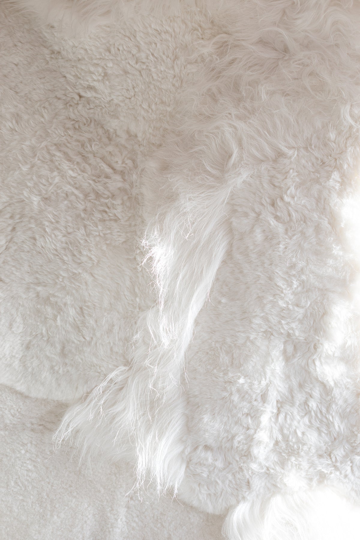 Gros plan sur les peaux de mouton blanches et crème assemblées