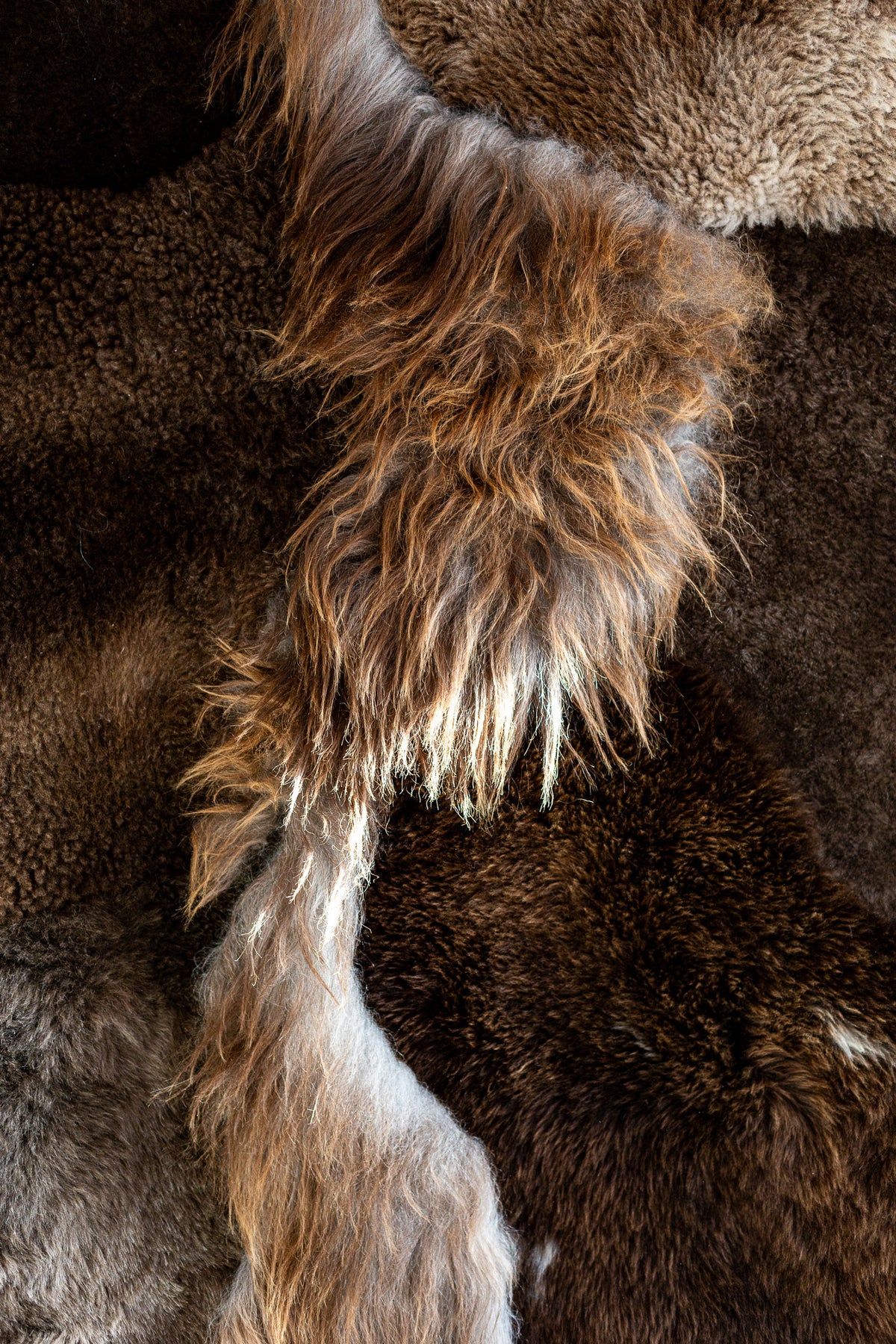 Gros plan sur les poils longs bruns, cuivrés et noirs du coussin patchwork