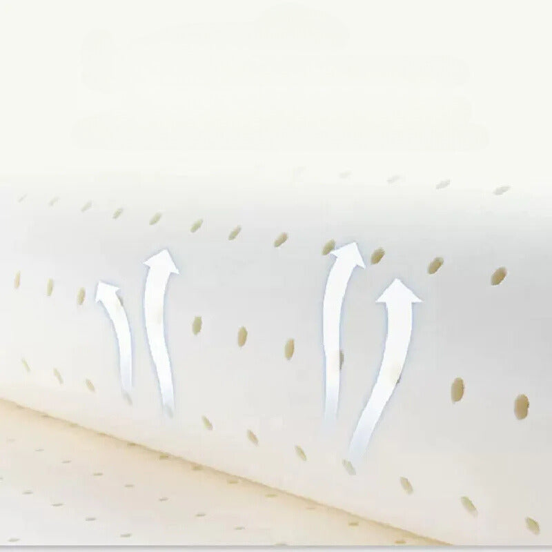 Coussin pour le dos lit en latex rafraîchissant